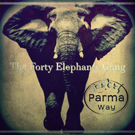 The Elephant Gang Betfair